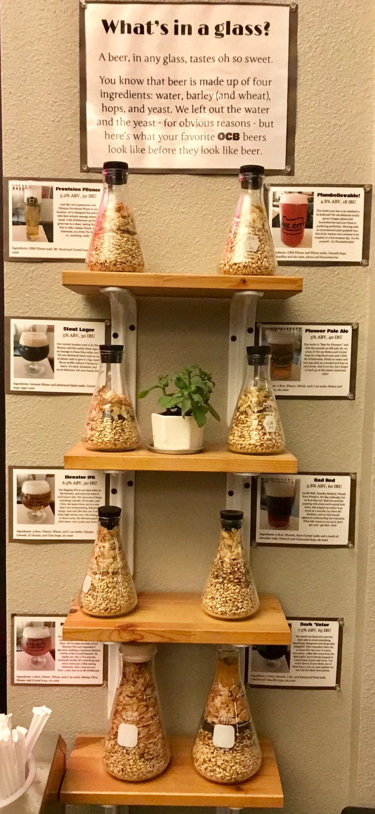 Oregon City Brewing Company 3